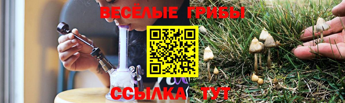 Псилоцибиновые грибы MAGIC MUSHROOMS  Вход с VPN  Ногинск 